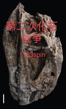 第二次化疗可以不住院吗